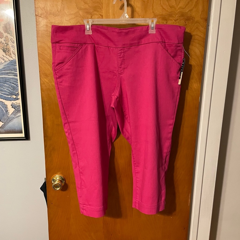 Women’s Focus Lifestyle NWT Sz 20